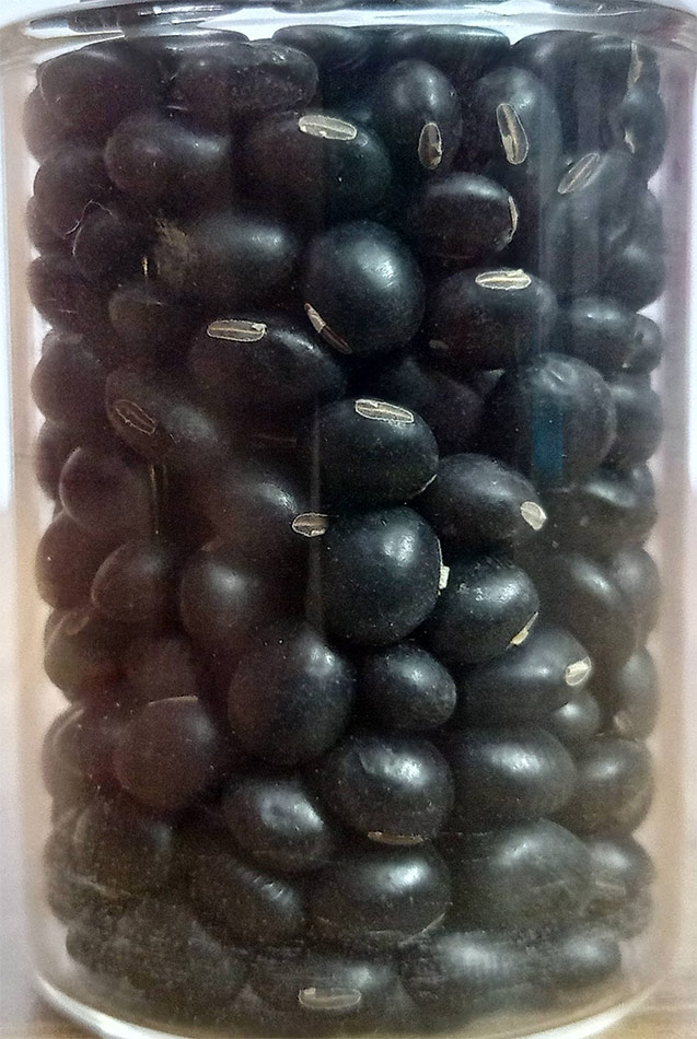 Black Soyabean